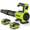 VINCHEST LEAF BLOWER CORDLESS WITH 2× 4.0AH BATTERIES AND CHARGER - GREEN - Like New