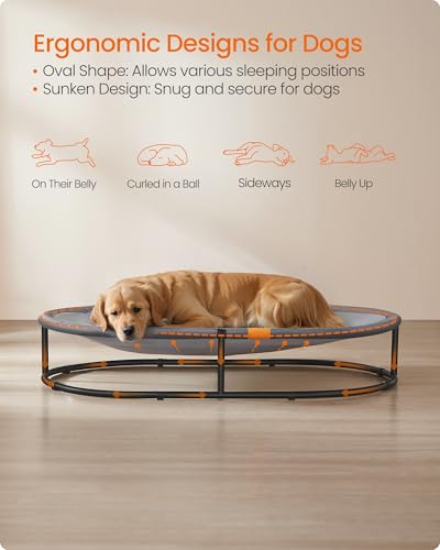 FEANDREA ELEVATED OVAL DOG BED (XXXL) - BLACK/GRAY - Like New