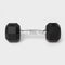 ALL IN MOTION HEX DUMBBELL 10LBS - RUBBER FILL CHROME MATERIAL, - Scratch & Dent