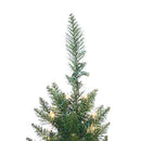 4-Foot Potted Cedar Pine Trees with 100 Clear Lights (Set of 2) B00ERESRCI - Brand New