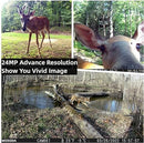WOSODA TRAIL CAMERA G200 AA Battery Powered Removable SD - Scratch & Dent