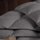 Balsara's Comforter 100% Egyptian Cotton 800 Thread Count 400GSM Fiber Fill - Brand New