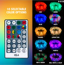 Flipo Indoor/Outdoor 100 LED Color Changing Rope Lights W/ Remote LAG-100RGB-D - Brand New