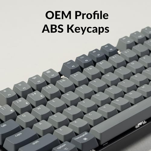 KEYCHRON K8 TENKEYLESS MECHANICAL KEYBOARD WHITE BACKLIGHT SIZE - BLACK/GRAY - Like New