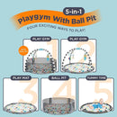 JOY AND LOTUS 5 IN 1 BABY PLAY GYM AND BALL PIT ACTIVITY GYM WITH 6 TOYS, BALLS - Like New