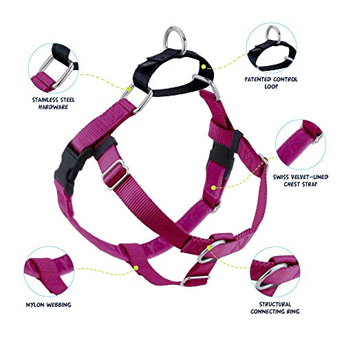 2 Hounds Design Freedom No Pull Dog Harness 5/8" XS Raspberry Like New