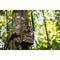 MUDDY HUNTING GAME WILDLIFE OUTDOORS 16 MEGAPIXEL HIGH RESOLUTION CAMERA - BROWN - Brand New
