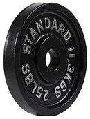 FITVIDS 2-INCH OLYMPIC CAST IRON WEIGHT PLATE CENTER 2-INCH - Scratch & Dent