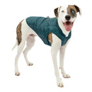Kurgo Loft Dog Jacket - Reversible Cozy Coat for Outdoor Adventures - Like New
