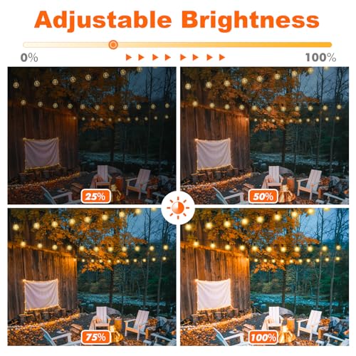 HANDWELL 100FT OUTDOOR G40 LED GLOBE STRING LIGHTS, BW PARTY, HW-CMPC-O50XA-BLK - Like New