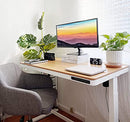 UNCAGED ERGONOMICS RISE UP ESSENTIAL ELECTRIC STANDING DESK ADJUSTABLE - WHITE - Like New