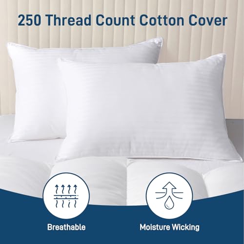 ANKWOS HYPOALLERGENIC SIDE SLEEPER QUEEN PILLOW FIRM AND COOLING - WHITE - Like New