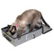 SPORT PET LARGE POP OPEN KENNEL PORTABLE CAT CAGE KENNEL CM-10033 - GRAY - Brand New
