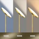 JOOFO Floor Lamp Sky LED Modern Torchiere 3 Color LA-123 - Brushed Gold - Like New