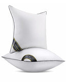 FAPO THROW PILLOW INSERTS SOFA THROW PILLOW WITH 100% COTTON COVER 2-PACK WHITE - Brand New