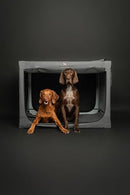 NOAH & PAW COLLAPSIBLE DOG CRATE 30 INCHES, LARGE MEDIUM BREED - GRAY - Like New