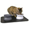 Kitty City Raised Cat Bowl Collection/Stress Free Pet Feeder/Waterer - Gray - Brand New