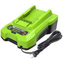 GREENWORKS BATTERY CHARGER GEN.ADDRESSES GCH0405 20V 40V 48V CHARGER - GREEN - Like New