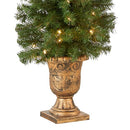 NATIONAL TREE COMPANY PRE-LIT ARTIFICIAL TREE MONTCLAIR SPRUCE 4 FT BLACK/GOLD - Brand New