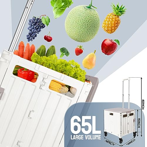 HONSHINE COLLAPSIBLE ROLLING CRATE WITH SPINNING OPEN LID, XZG - WHITE - Like New