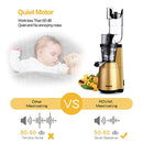 Slow Masticating Juicer ROVKA High Vitamins Nutrient Juice Extractor B08CXP45K3 - Brand New