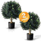 BOTARO TRESIL Set of 2 - Pre-Potted 24" High Ball Shaped Boxwood Topiary- 16" - Like New