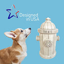 Blue Sky Ceramics Kiln Fired Clay Fire Hydrant Treat Jar - B09HN4S4NW - White - Brand New