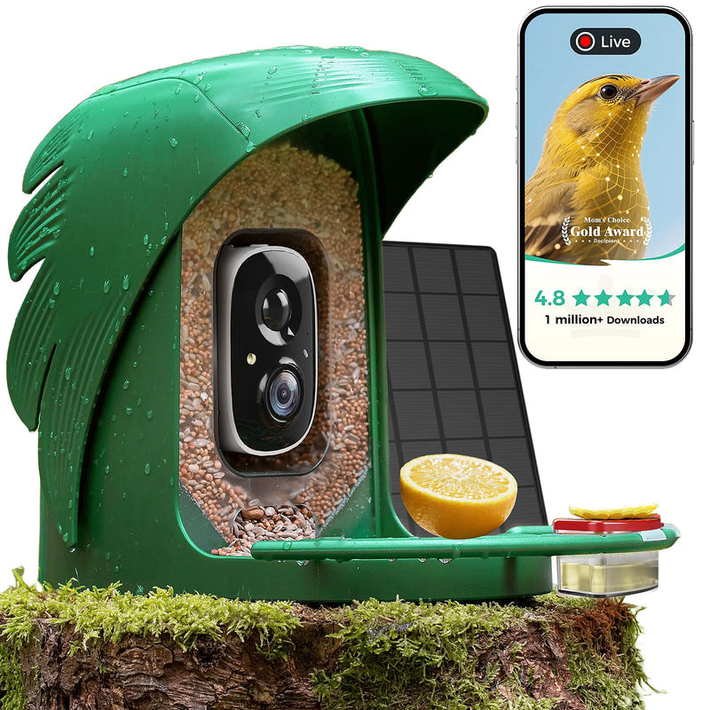 PerchMe® Bird Feeder Camera Solar Powered, 2K Smart Bird House Camera - Green - Like New