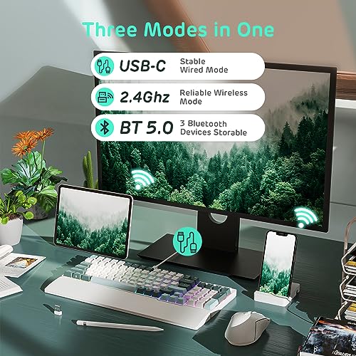 RK ROYAL KLUDGE RK96 RGB Limited Ed, 90% 96 Keys Wireless Triple Mode BT5.0/2.4G - Like New