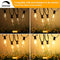 Brightever Outdoor String Lights 150FT, Patio Lights with 75+2 Dimmable ST38 - Like New