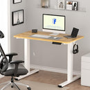 FLEXISPOT EN1 ONE-PIECE STANDING DESK 48"X24" SEAMLESS DESKTOP - MAPLE - Like New