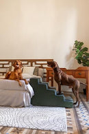 NOAH & PAW DOG STAIRS FOR LARGE DOGS, UP TO 150LB WIDE DOG RAMP, 5-STEP - GREEN - Like New
