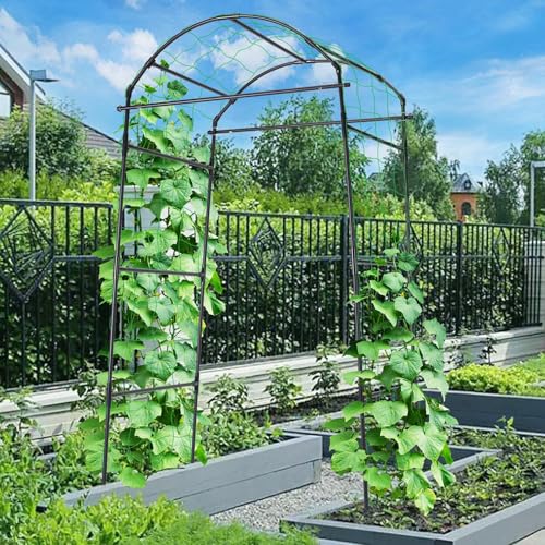 FOLOOK CUCUMBER TRELLIS Garden Arch Trellis Climbing PlantsVegetable-Trellis - Brand New