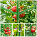 POILKMNI TOMATO CAGE 51×17×49 INCH 46 GALLON GROW BAG - BLACK/GREEN - Like New