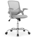 OLIXIS Wheels Ergonomic Home Office Flip-up Arms and Lumbar Support - Grey - Like New