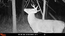 WILDGAME INNOVATIONS INSITE-V 2-PACK CELLULAR TRAIL CAMERA 20 MP 80FT - GRAY - Like New