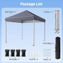 Vinabilia 10x10 Pop Up Canopy Tent with One-Push Center Lock - Gray - Brand New