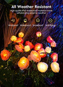 Brightown Solar Garden Lights - 4 Pack Solar Flowers Lights with Larger - Like New