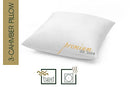HANSKRUCHEN Premium de Luxe Comforter Down Pillow 26x26 in - Brand New