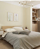 Birwall Faux Textured Diatom mud Ooze Wallpaper 57 Square Ft/Roll (Beige) - Brand New