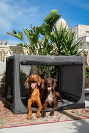 NOAH & PAW COLLAPSIBLE DOG CRATE 42 INCH, 2XL DOG CRATE FOR 2XL, XL - GRAY - Like New