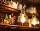 LANROS Farmhouse Kitchen Pendant Lighting Handblown Clear Seeded Glass 2 Pack - Brand New