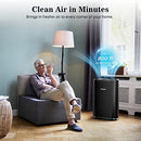 Okaysou Air Purifiers for Home (800 Sq Ft) , Black - Like New
