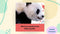 DK BABY TOUCH AND FEEL PANDA - WHITE/RED - Like New