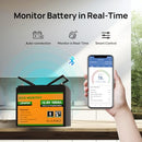 ECO-WORTHY 12V 100AH LIFEPO4 LITHIUM BATTERY WITH BLUETOOTH - BLACK/ORANGE - Like New