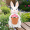 BRIGHTEVER SOLAR POWERED OUTDOOR GARDEN STATUES- RABBIT, 11.8IN - FLOWER POT - Like New