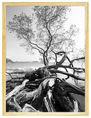 MCS 18x24 Inch Art Frame, Natural (47579) - Brand New