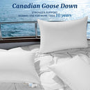 AiAngu Canadian Luxury Goose Down Pillow 900 Fill Power Teflon Shell - White - Brand New
