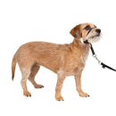 PETSAFE GENTLE LEADER NO-PULL DOG HEADCOLLAR SMALL - BLACK - Like New