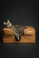 NOAH & PAW SMALL DOG BED 20X15X8 INCH ORTHOPEDIC MEMORY GEL - CAMEL - Like New